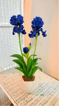 Product thumbnail #2