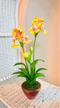 Product thumbnail #3