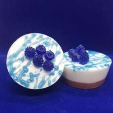 BlueBerry Tart Soap