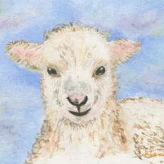 Notecards: Precious the Lamb