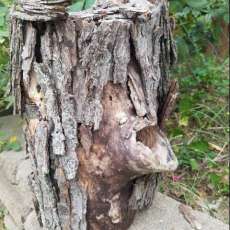 Hollow Log Birdhouse - Hollow4