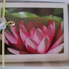 Floral Note Card Sets (eight assorted floral images)