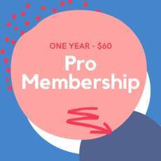Pro Member access for 12 months