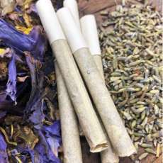 Lavender Zen Sticks | 12 pack | Herbal Cigarettes