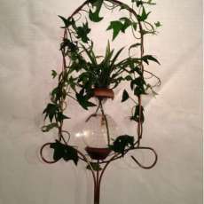 Roots Plant Rooter - Loop Style