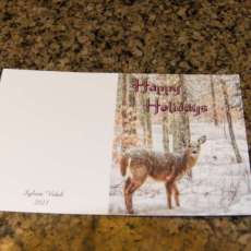 Holiday Deer In Snow Card Note Cards