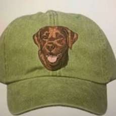 Embroidered pet caps for humans