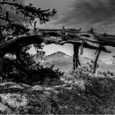 A Peek At Longs Peak Colorado Black & White 24x36