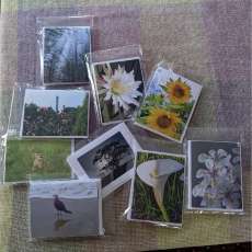 Photo Shatts Note Cards - Set of 5 Photo Cards in 1 Pack