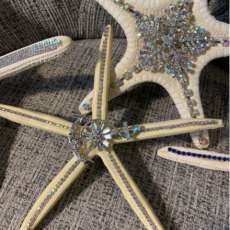 Jeweled Starfish