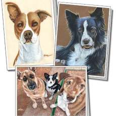 5" x 7" greeting cards with prints of some of my pet portraits
