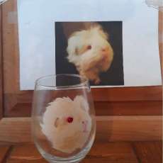 Pet Portrait on Wineglass