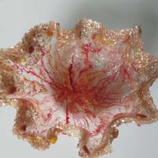 Coral Resin bowl with blush glass edges