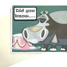 Hippo Happy Birthday Greeting Card