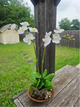 Product thumbnail #1