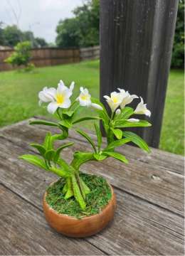 Product thumbnail #1