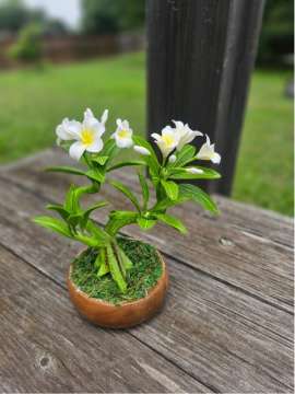 Product thumbnail #2