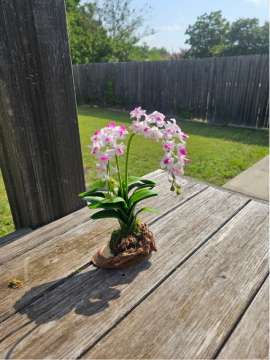 Product thumbnail #1