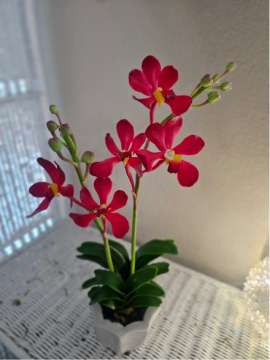 Product thumbnail #1