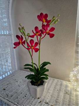 Product thumbnail #2