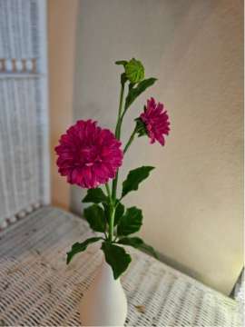 Product thumbnail #1