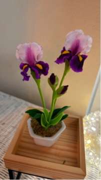 Product thumbnail #1