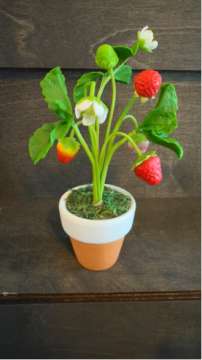 Product thumbnail #1