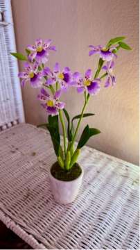 Product thumbnail #1