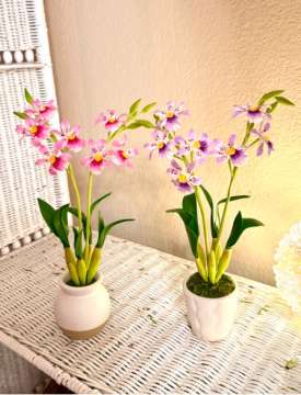 Product thumbnail #2