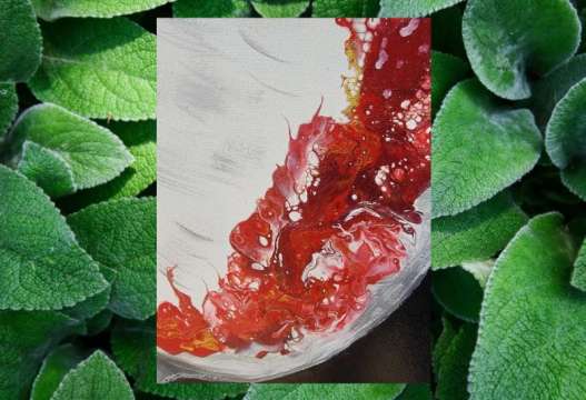 Product thumbnail #2