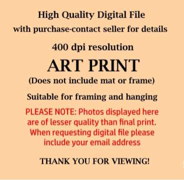 Product thumbnail #1