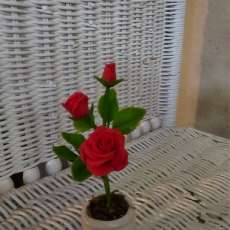Roses (mini)