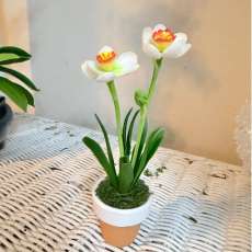 Daffodil (small)