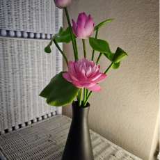 Lotus on vase (pink, yellow, white)