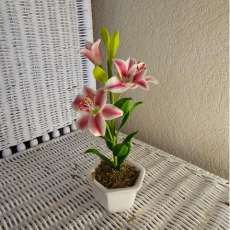 Lily flowers ($15) (Pink or yellow)