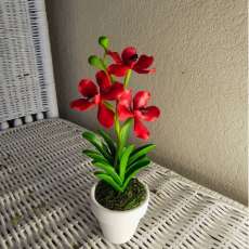 Red vanda orchid (small)