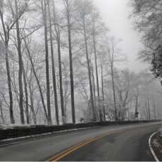 Black & White Wintery Highway in Smoky Mountains