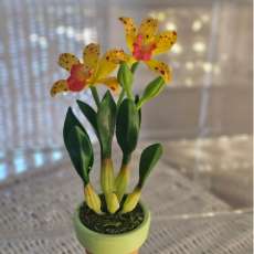 Cattleya orchid ($10 size flowers)