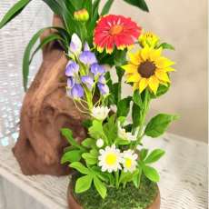 Texas Wild Flowers