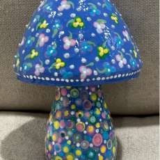 Mixed Colors Mushroom