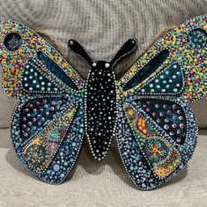 Multi colored butterfly