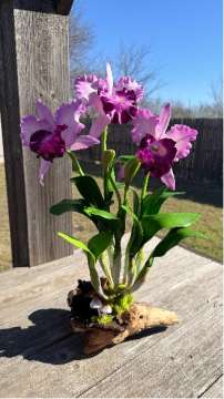 Product thumbnail #1