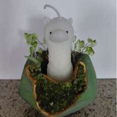 Scented Candle with Gem Pottery Holder