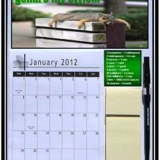 Magnetic Refrigerator Squirrel Calendar 2012 - 2014