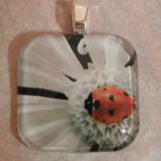 "Ladybug" 1" X 1" glass tile pendant