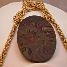 Fossilized Ammonite and Gold Chain Necklace