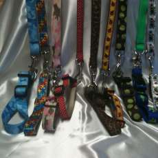 matching dog collars and leashes