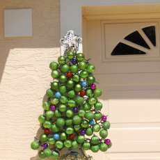 Southerners need Christmas too outdoor Christmas tree