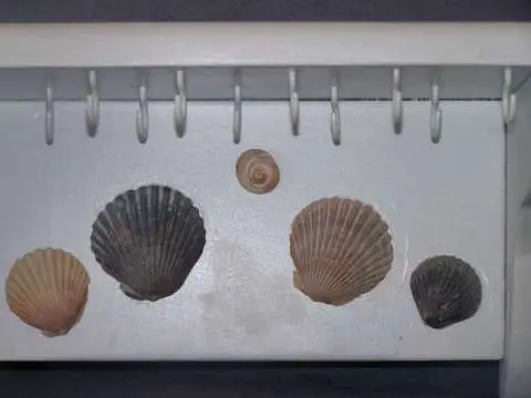 Product thumbnail #2