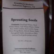 Sprouting Seeds for Easy Sprout Sprouter